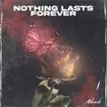 Nothing Lasts Forever