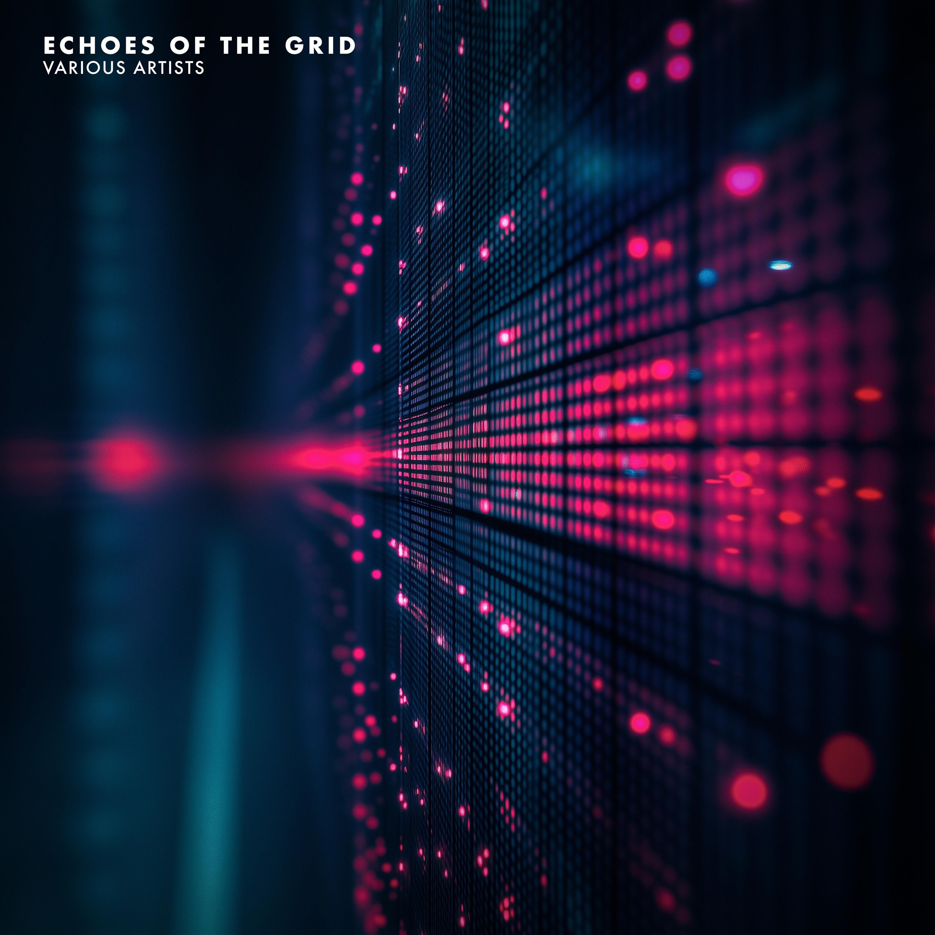 Echoes of the Grid