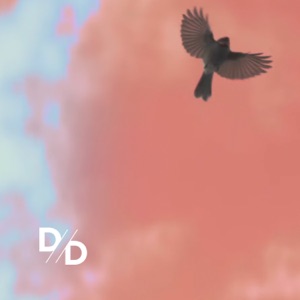 Far From Ideal (Chelsea Wolfe Remix) - Single
