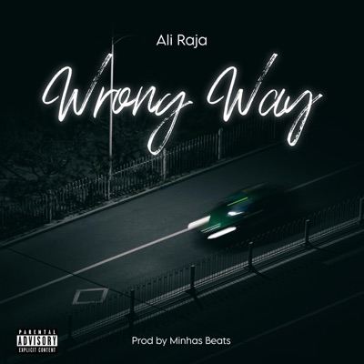 Wrong Way (feat. MinhasBeats) - Single