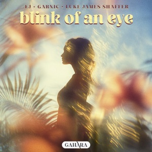 Blink Of An Eye