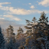 hillside - Single - Sebastian Jautschus