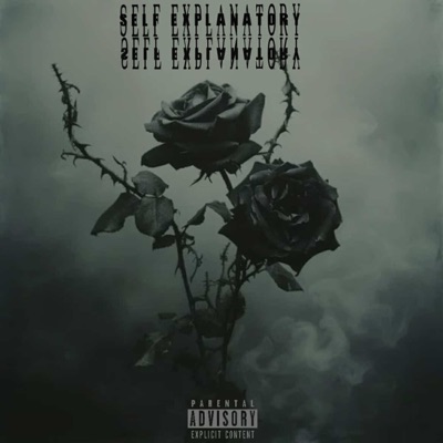 Self Explanatory - Single