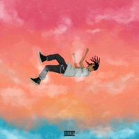 I Don't Like This - Single - Big Boss Mulaa & Mileage