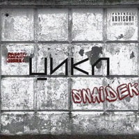 Цикл - Single - SNAIDEK & POZHIZNENNO