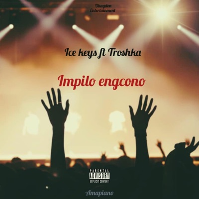 Impilo Engcono - Single