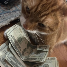 laptop mic freestyle AVIATOR