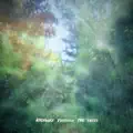 highway through the trees