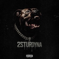 Dog Talk - Single - 2 STURDY NA