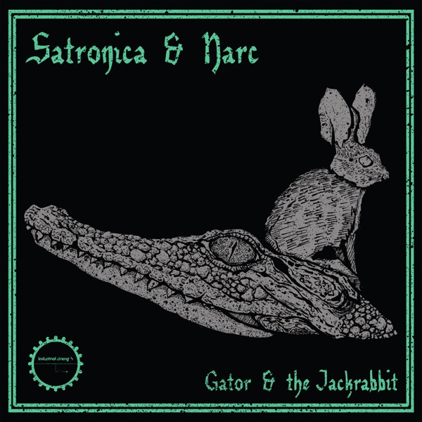Gator & the Jackrabbit - Single