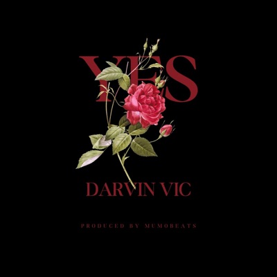 YES (feat. mumo beats) - Single