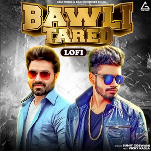 Bawli Tared (Lofi) [feat. Vicky Kajla]