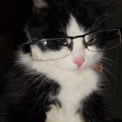 Ama özlediğim kadın sen değilsin idil cover