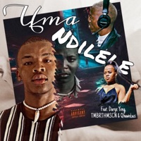 Uma Ndilele (feat. Daryx Yvng, TMBRTHMSCN & Qhawekazi) - Single - Vine 98