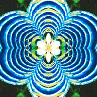 This Doesn't Have To Be It — Tarantula Bill