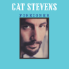 Foreigner (Remastered 2024) - Cat Stevens