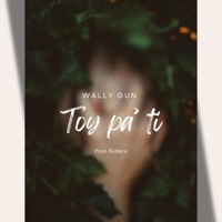 Toy pa ti by Rubiera - Single - Wally Gun