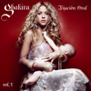 Shakira - La Tortura (feat. Alejandro Sanz) artwork