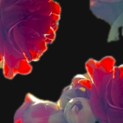 My1st (feat. Charli Ra) - Single