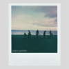 Living Again - Paul Woida new Single