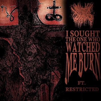 I Sought the One Who Watched Me Burn (feat. Restricted US) - Single