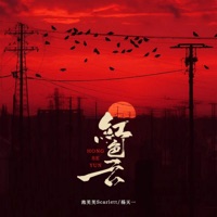 红色云 - Single - 泡芙芙Scarlett & 楊天一