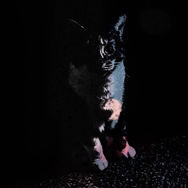 I Once Knew You - Single