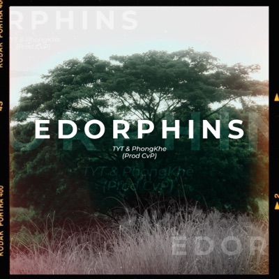 Edorphins - Single