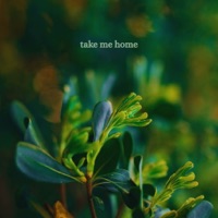 take me home - Single - ADBEEL