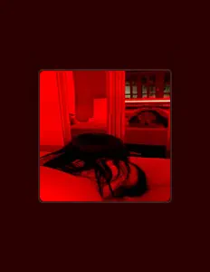 收听 MC Mr Bim、观看音乐视频、阅读小传、查看巡演日期等 ！