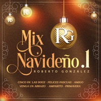 Mix Navideño 1: Cinco Pa' Las Doce / Felices Pascuas / Amigo Venga Un Abrazo / Amparito / Primavera - Single - Roberto González