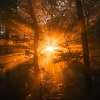 dream - Single - uthewise