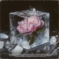 Ayna - Single - Ece Mumay & Taladro