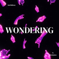 Wondering (feat. Detola Jones) - Single - Anis Halloway