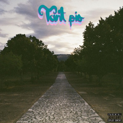 Tant pis - Single