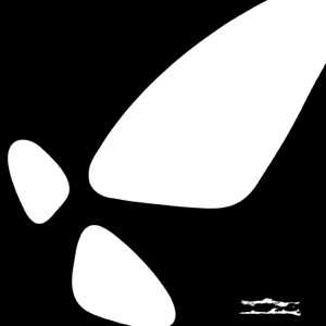 X-ray