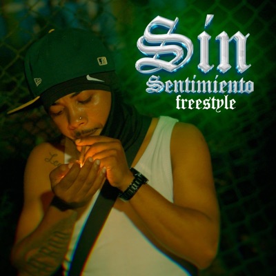 Sin Sentimiento Freestyle - Single