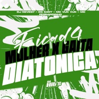 Fica de 4 Mulher x Gaita Diatonica - Single - DJ NEVES7, DG SANT, Mc Vuk Vuk & Mc Fernandinho