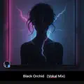 Black Orchid