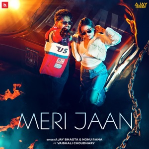 Meri Jaan (feat. Vaishali Chaudhary)