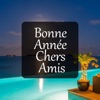 Soleil Vibes - Bonne Année Chers Amis (V. Courte)