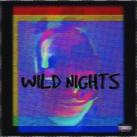 WILD NIGHTS (feat. cleedvs) - Single - Stoniii