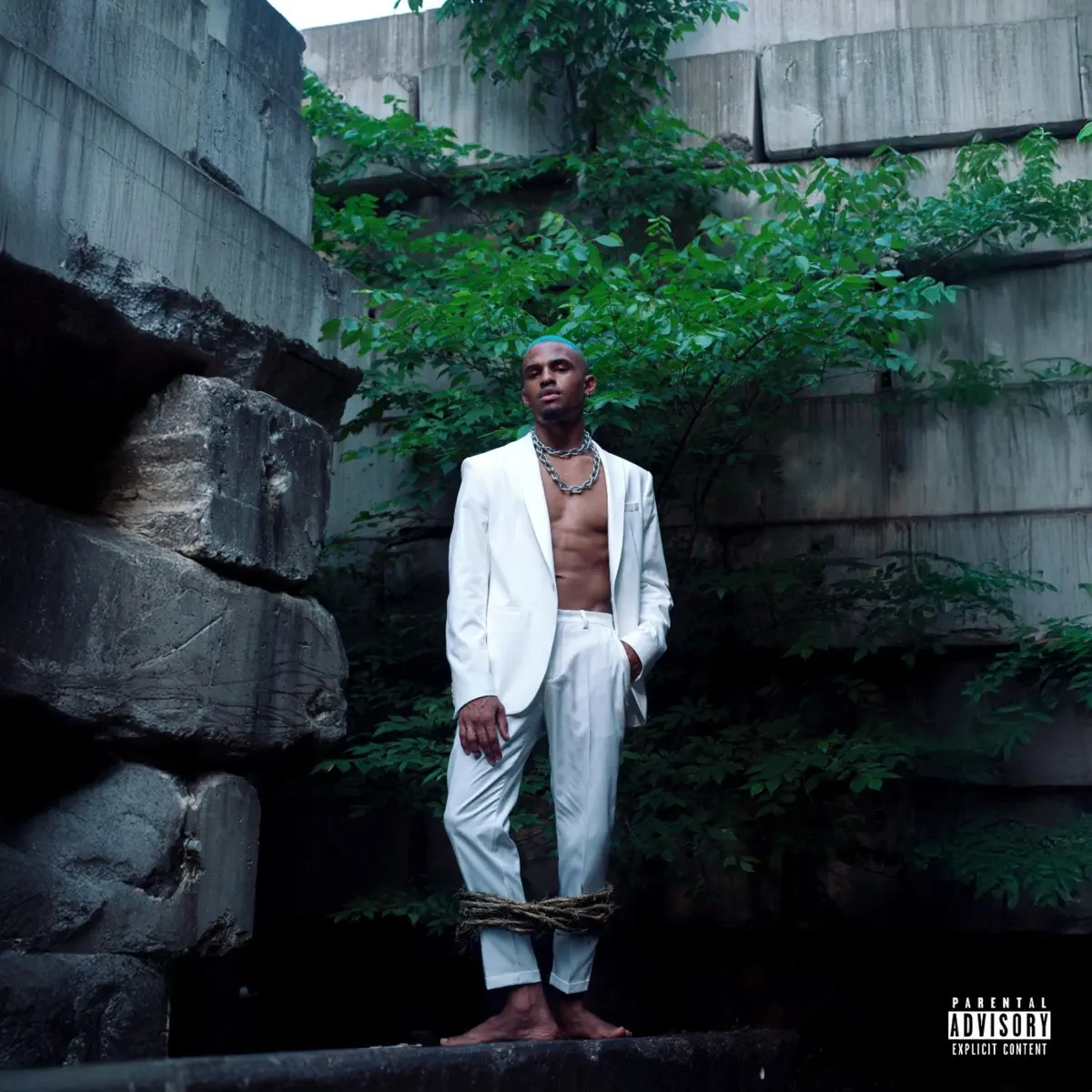 Jonojono - As We Wither (2025) [iTunes Plus AAC M4A]-新房子