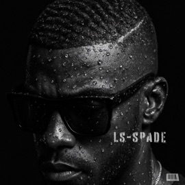 No Problems LS -Spade