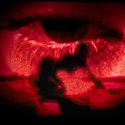 1NIGHT (Sexy Lady Riddim) - Single