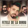 Luis Gabriel, Florin Salam & Mr. Juve - Fetele de la Birou
