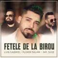 Fetele de la Birou