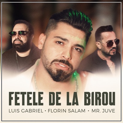 Song - Fetele de la Birou - Luis Gabriel, Florin Salam & Mr. Juve