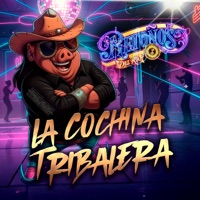 La Cochina Tribalera - Single - Retoños Del Rio