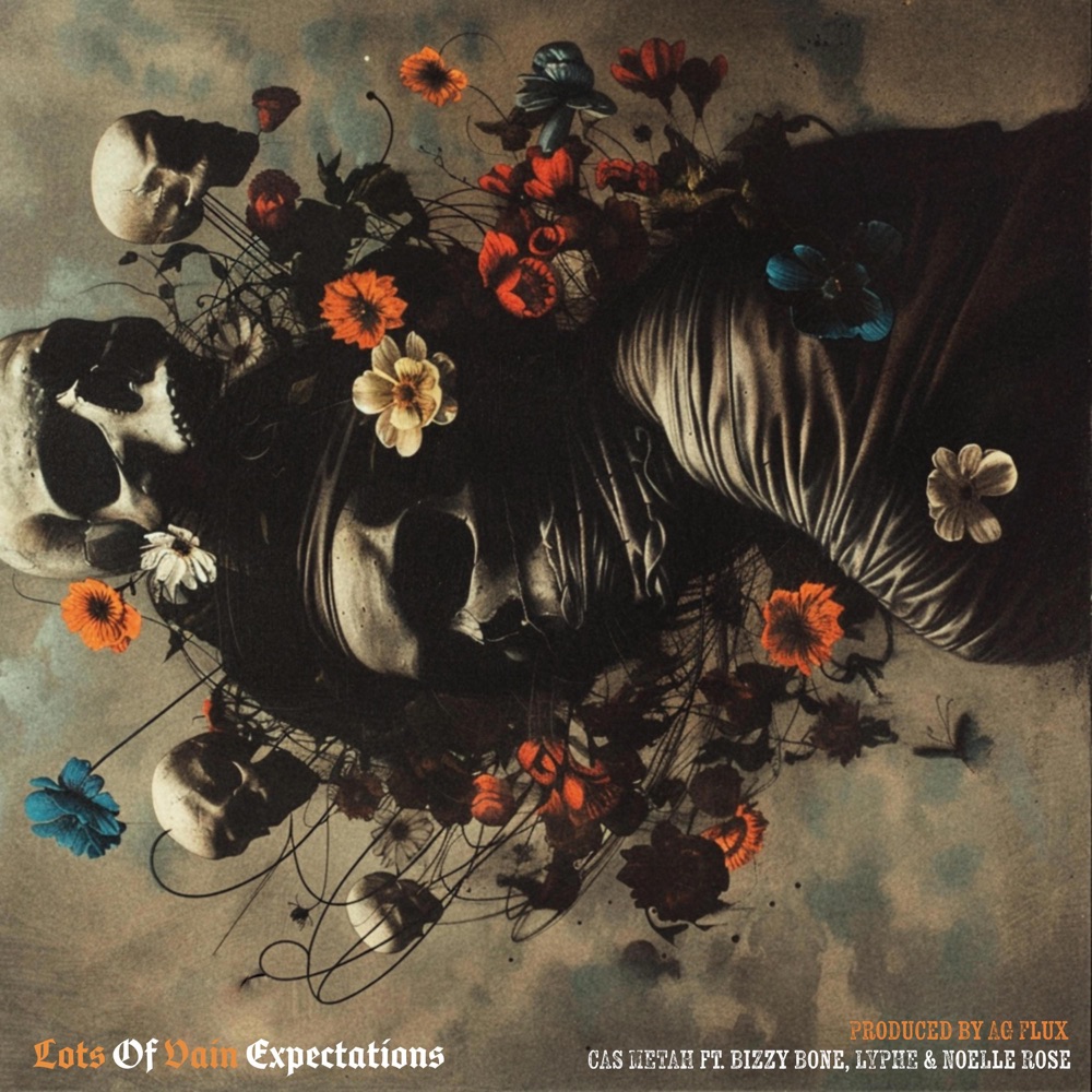 Обложка альбома «Lots Of Vain Expectations (feat. Lyphe & Noelle Rose) - Single» — Cas Metah